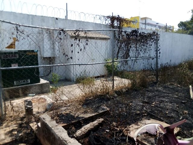xevtfm's tweet photo. Solicitan el apoyo de @ProcivilTabasco / @CentroCPCM para el retiro de unas ramas que hacen contacto con un cable de alta tensión en la escuela Graciela Pintado de Madrazo, de la col. El Recreo

Número K1703797036 @CFE_Contigo https://t.co/tbaoM2NnIF