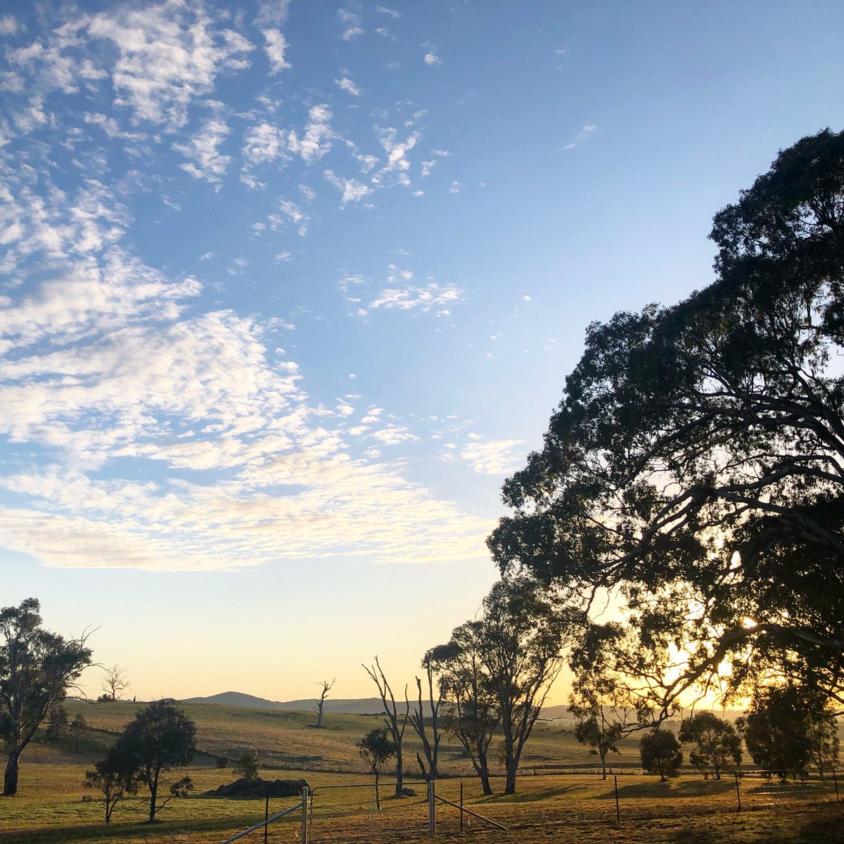 Beautiful spring day ahead 21° ⛅️  2 sleeps until our Handmade Market this weekend 😊 #lovecbr