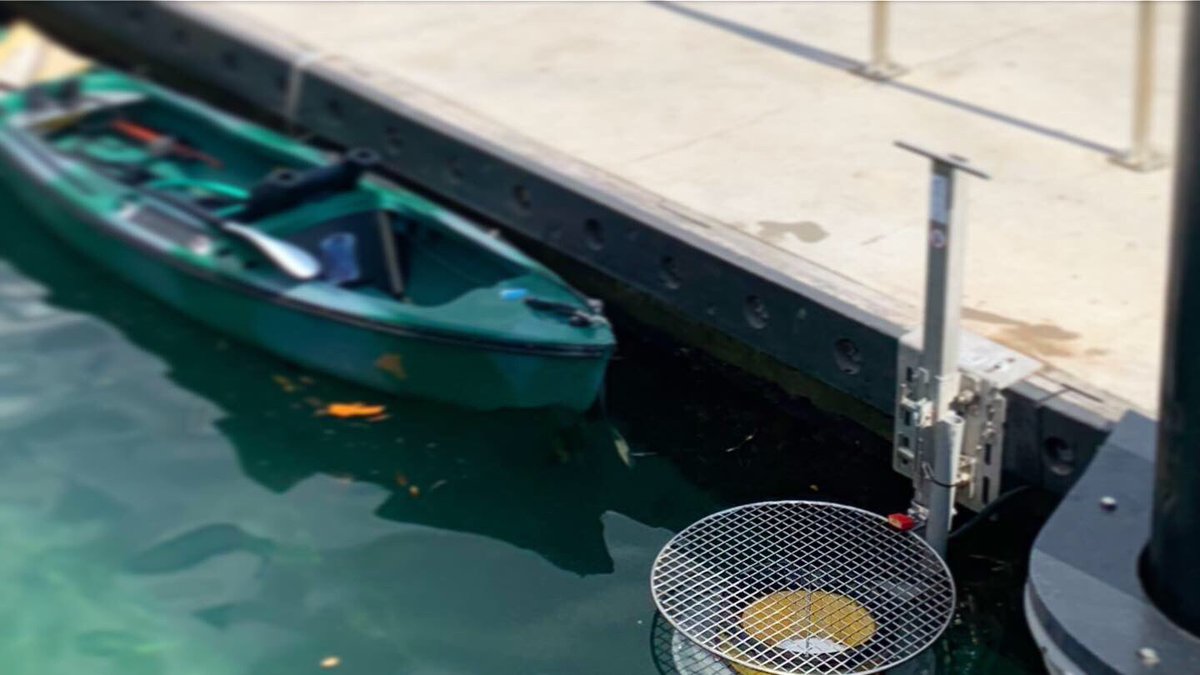 Seabin_project's tweet image. More and more cities around the world are requesting trial programs to include daily servicing of the Seabin clean tech. #SmartCities #smartsolutions #SustainableDevelopment