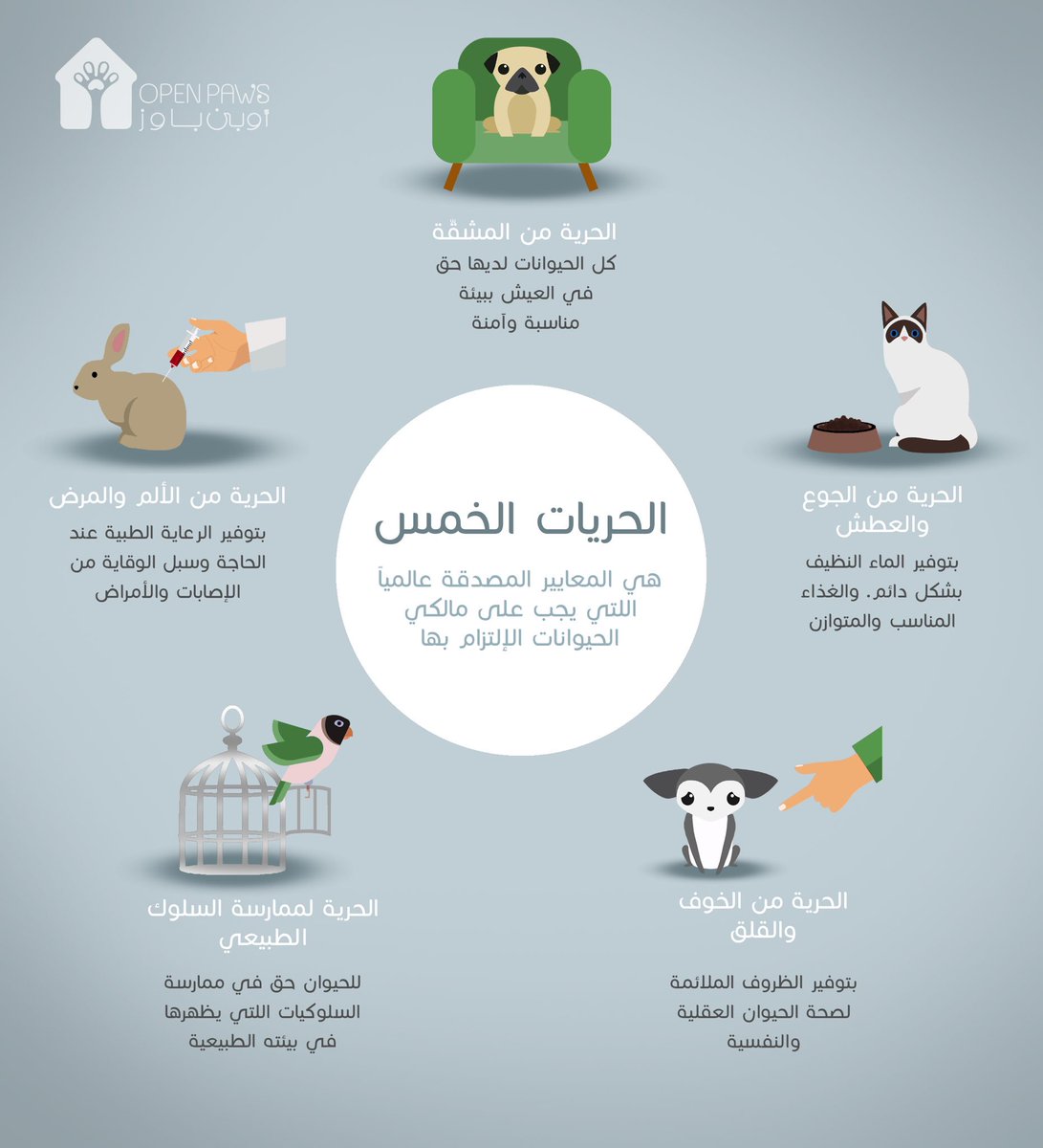 Open Paws tweet media