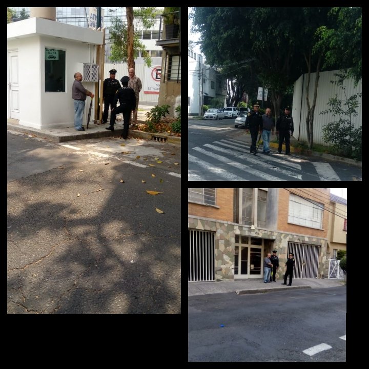 Alex Curiel 🌳🐾😷 🌬 💙 🙏 🇲🇽 tweet media