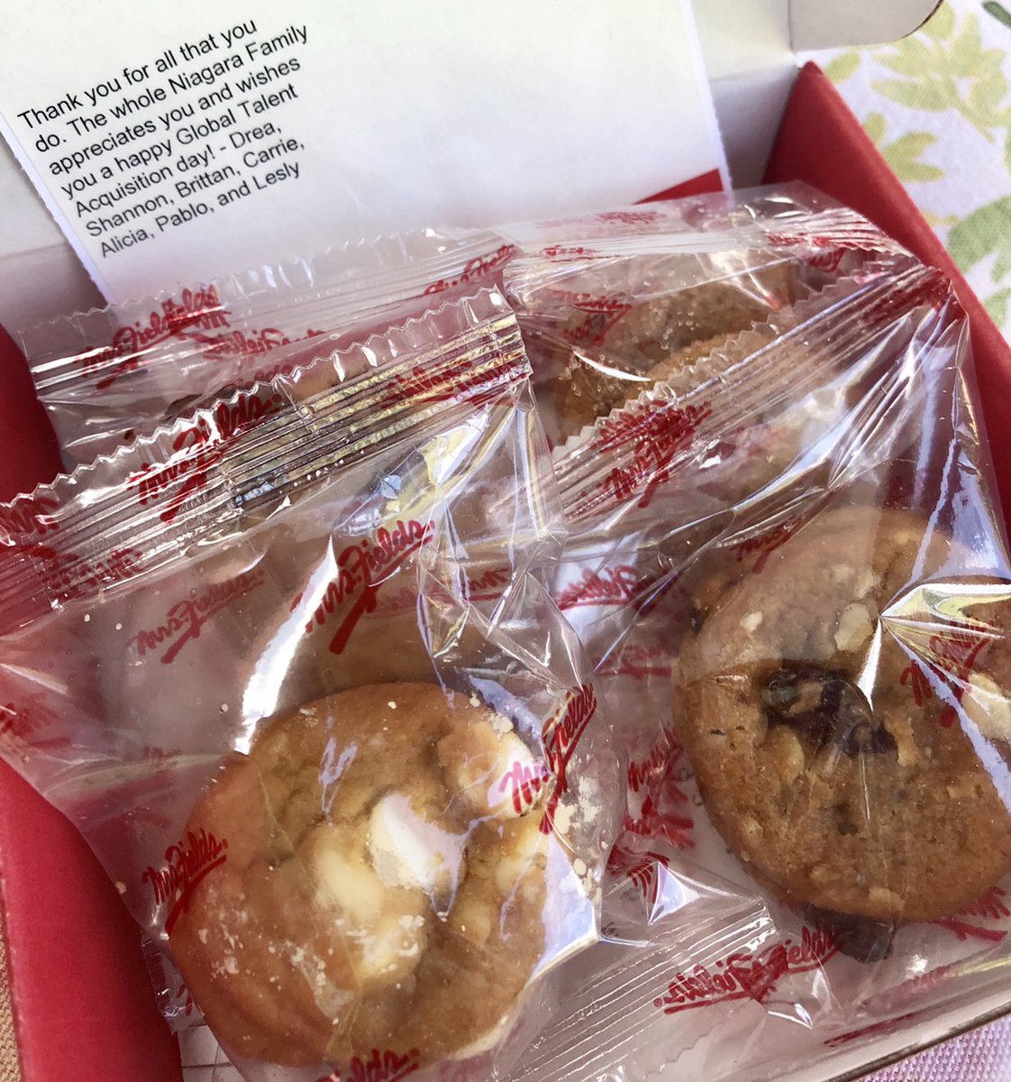 Happy #GlobalTADay! Today, we celebrate our TA Partners who bring in new members of our Niagara Family. A huge thank you to our HQ, Manufacturing, and Mexico teams for your hard work every day!