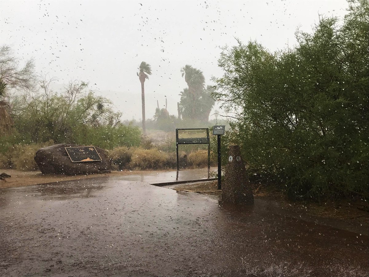 Thick rain drops splash onto the deep puddles forming on a concrete walkway as the palm trees blow wildly in the distance.