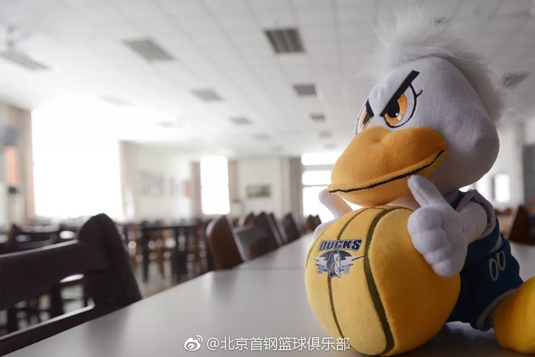 beijingduckscba's tweet photo. Introducing #BeijingDucks' official mascot, #ThunderboltDuck! #霹雳鸭 https://t.co/kih1nof8Jw