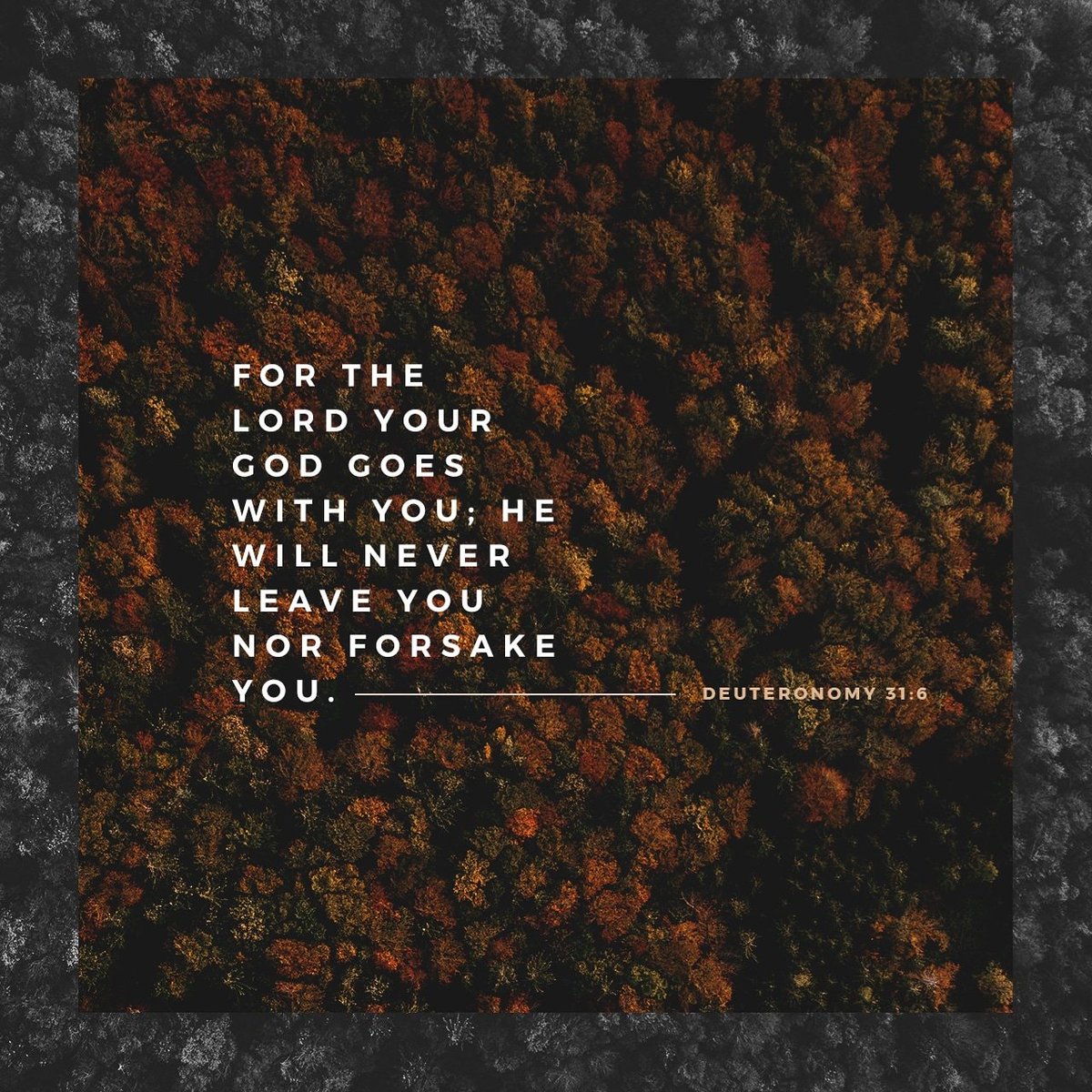 POSalvacion's tweet photo. Verse of the Bible,
Open your heart and God will speak to you.
#holybible #blessing #Godisgood #Godislove #Godlovesyou #Jesuslovesyou #Godisloyal #Jesus #faith #patience #love #advices #messages #bible #prayer #posalvacion #dalabiblia #followme #life #amazing #sky #leadership https://t.co/ohUIDDlrB8