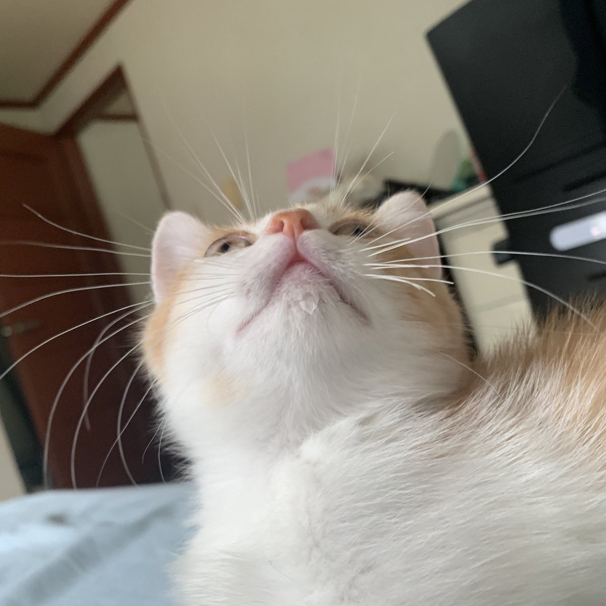 이게 현 프로필 사진인데 물 먹은 직후라 턱에 물 맺혀 있는 게 포인트