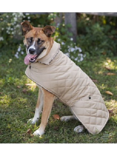 DesignsVixen's tweet image. Buff loves his new reversible Barn Jacket! Available at desertvixendesigns.com #dogs #dogsofwinter #rottweiler #doberman #goldenretriever #dogsofinstagram #poodle #terrier #standardpoodle #greatdane #ratterrier #beagle #puppycoat #doberman #rottweiler #pointer #lasaapso