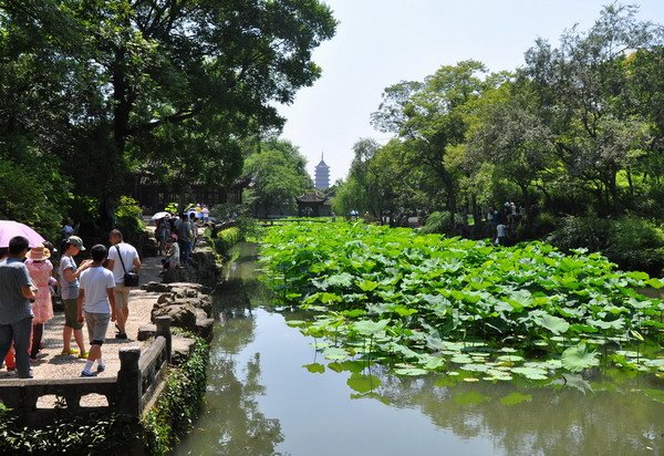 simontourcom's tweet photo. Humble Administrator's Garden is located in Suzhou, China. It was originally built in 1509 during Ming Dynasty (1368-1644). It was initially a private garden of a former government servant named Wang Xianchen. It covers 52,000 sq. meters, is the largest and most renowned in China https://t.co/o1ChKNSsTb