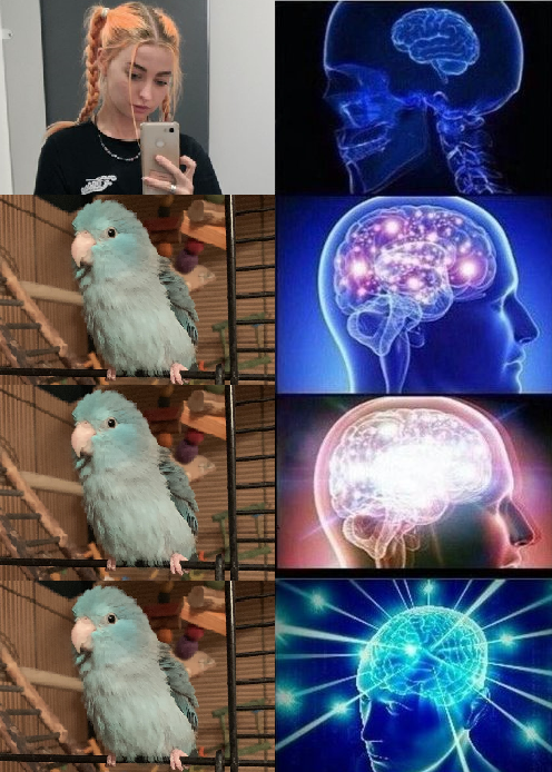 i am on a pc tweet media