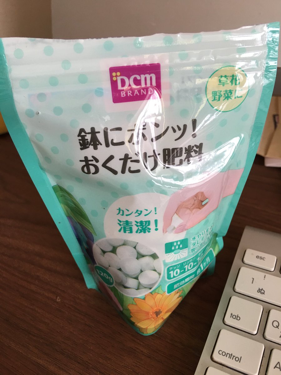 ひるひな ラスボス朝顔の育て方 日差しが強い時は室内に入れる 雨が強い時も室内に入れる 水は朝晩 旅行などで家をあけるときは バケツに水を張ってタオルの端をバケツに水に浸け 反対側の端を朝顔の土の上に置いておく 肥料は夏休み中に1回