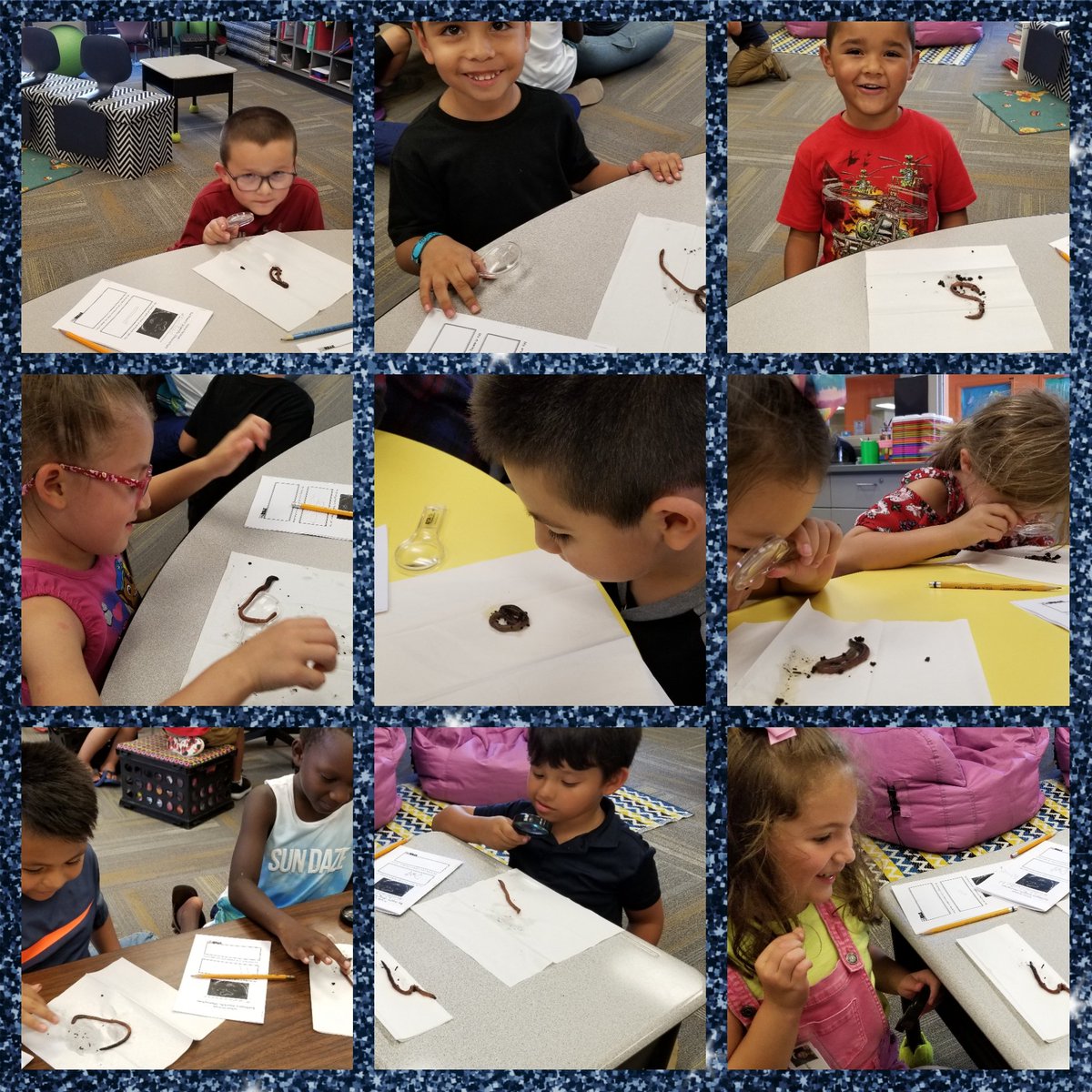 primaryblocks's tweet image. Worm investigation begins! @PVEPioneers #studentchoice