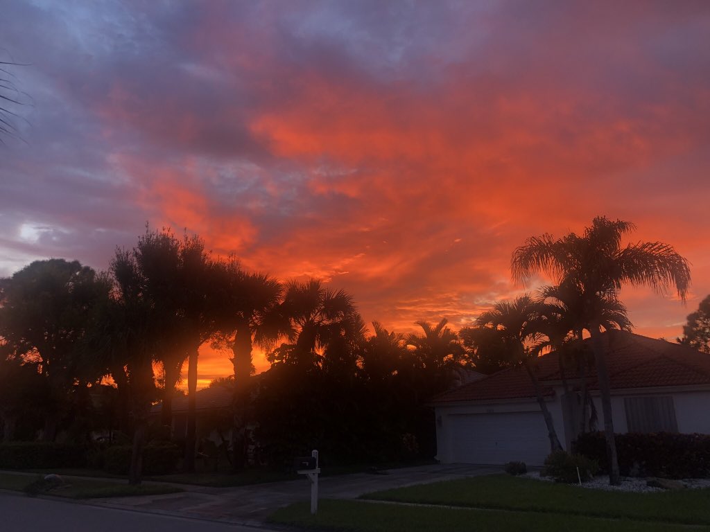 @FloridianCreat1 @StormHour @RealSaltLife @ThePhotoHour @EarthandClouds @EarthandClouds2 @DunedinBeach We had THE most incredible sunset tonight. I didn’t have a great vantage point and I didn’t want to miss the colors, so it’s just raw and as it comes.