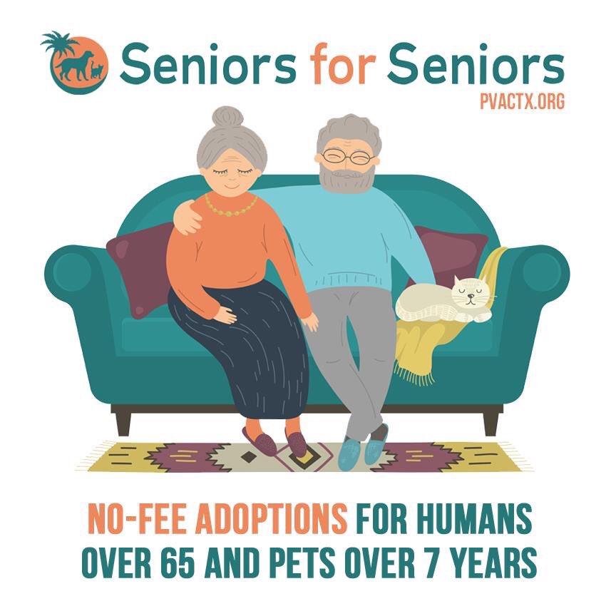 palm valley adoption