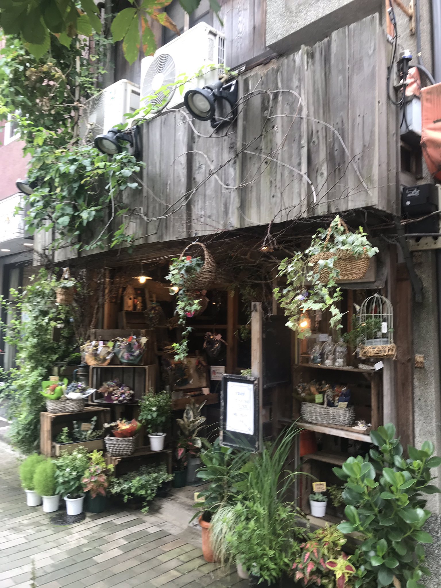 塩島隆義 昨日行ったお花屋さんが オシャレだった トトロの森のよう 浅草橋 花楽堂 プレゼント T Co Potyqzcobm Twitter