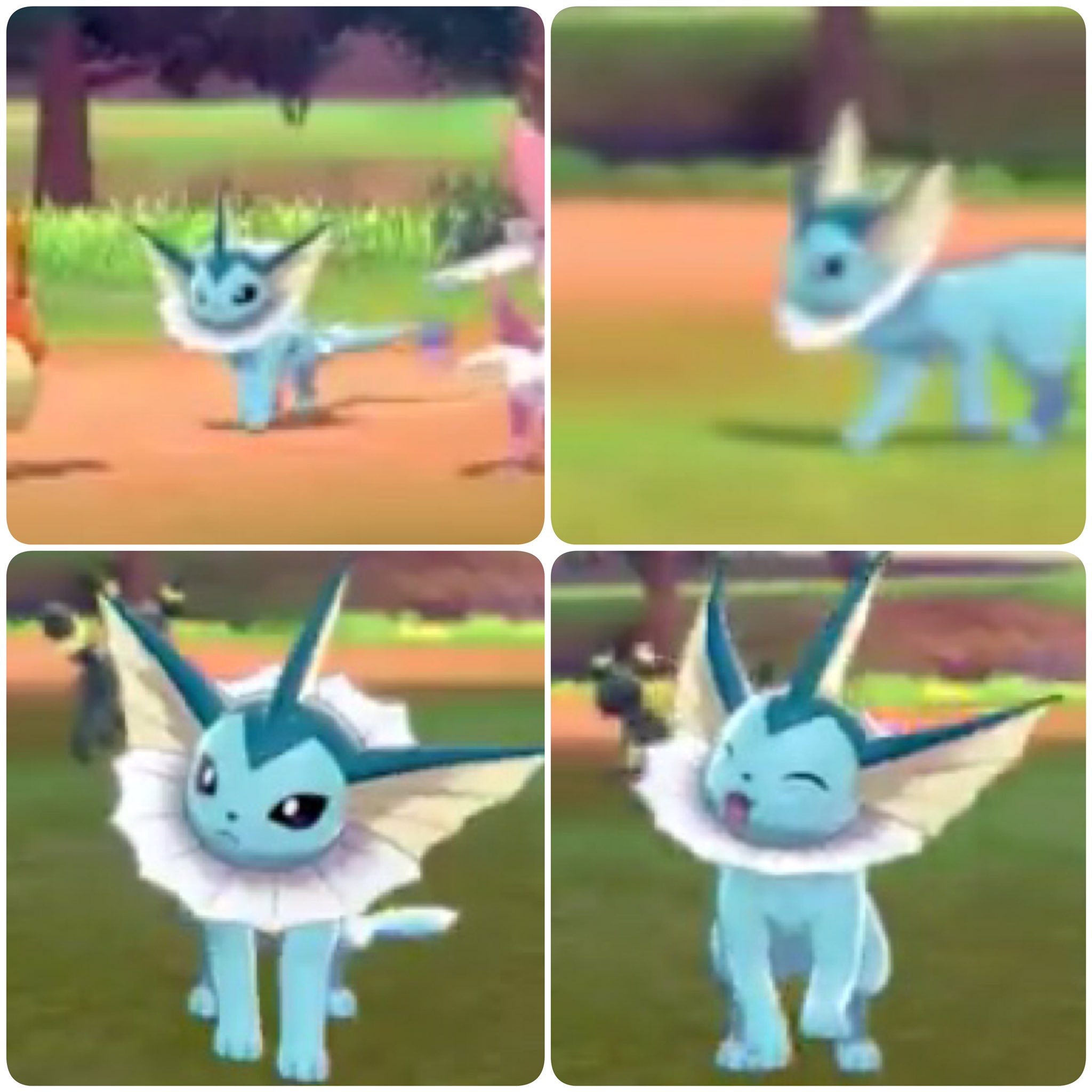 Twitter 上的 もみねこっ ポケモン剣盾で 今までよりもっと シャワーズが生き生きとしてるのを見ると感動する W 早く一緒に冒険したいなぁ T Co Sh4babwlr3 Twitter