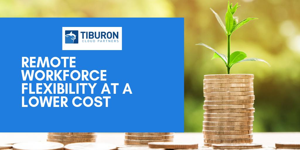 TiburonCloud's tweet photo. At Tiburon Cloud, we select innovative technology solutions that are tailored to meet your firm’s needs. Kick start your legal document review process here: https://t.co/7rdveLQTyP #attorney #legaltech #legaldocumentreview https://t.co/ge4PrkxacW