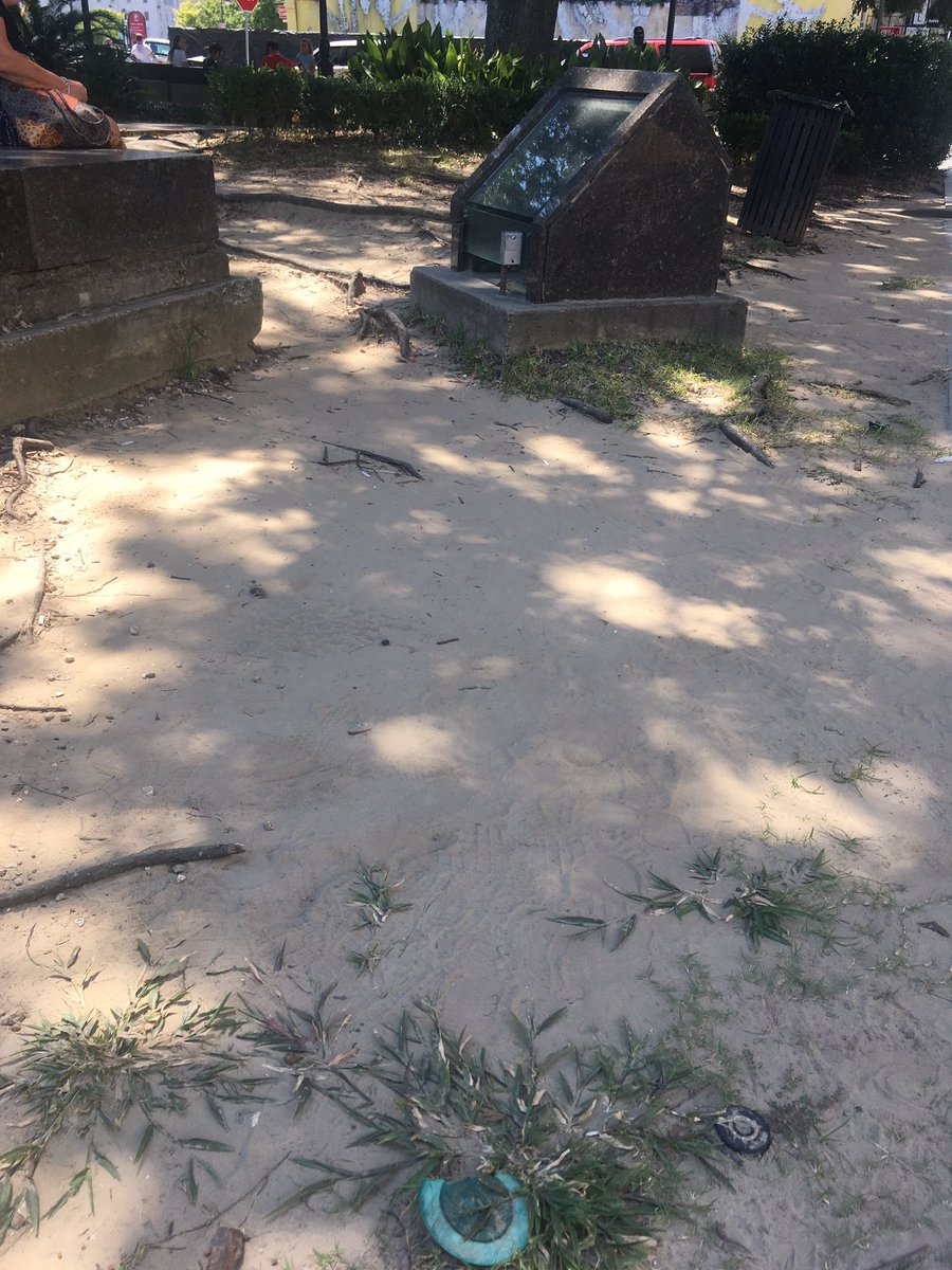 researchpoetics's tweet photo. @deboleena_roy I saw these stolons crawling towards these rhizomes and thought of your brilliant book! https://t.co/ddpeboNgvX