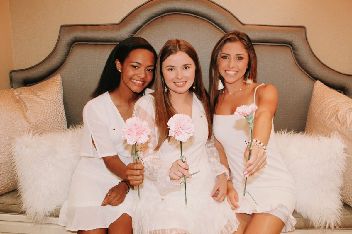 PHI MU ╳ ALPHA OMICRON tweet media
