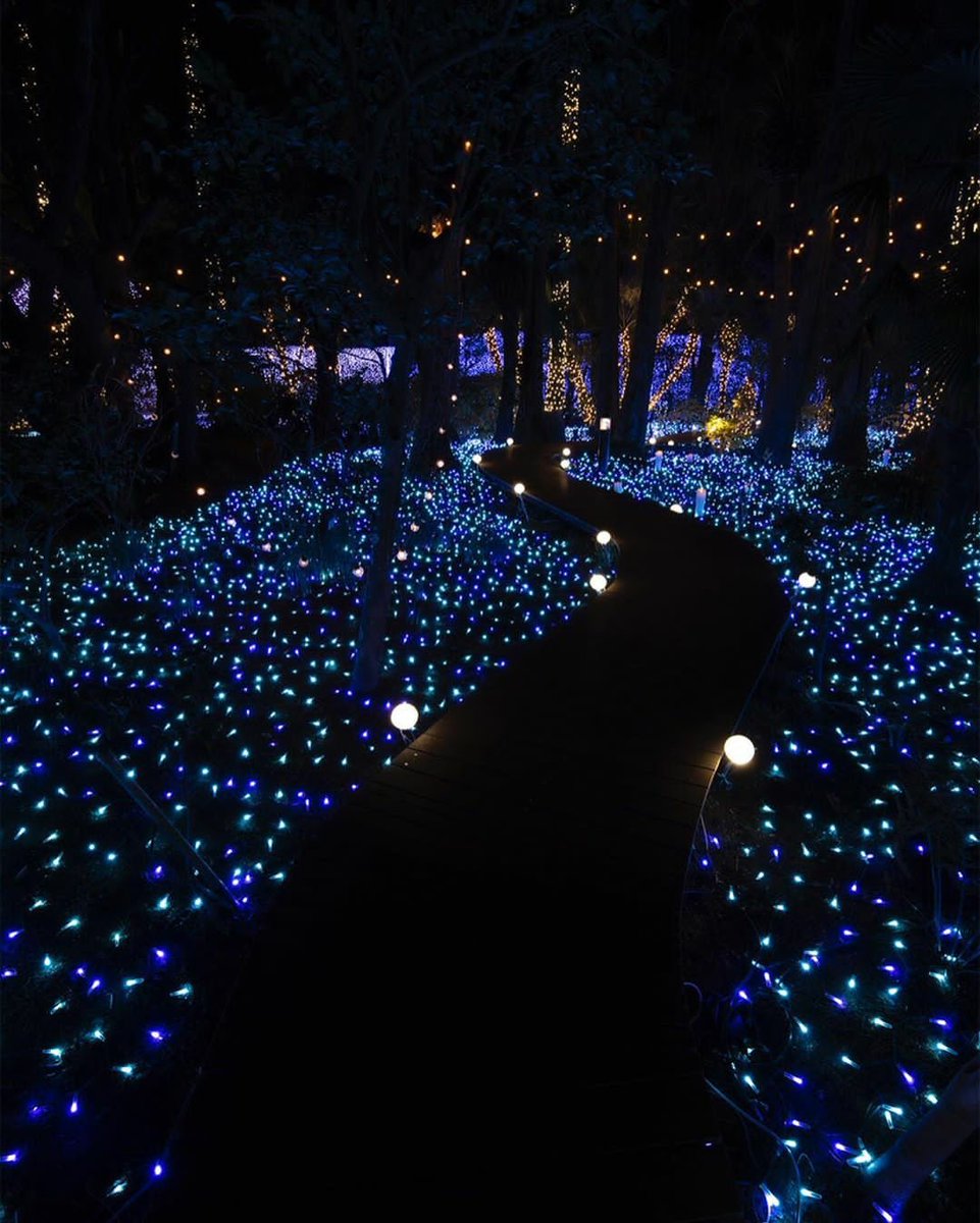 FanClicks_'s tweet image. Kanagawa Prefecture, Japan 

pc: ryovu