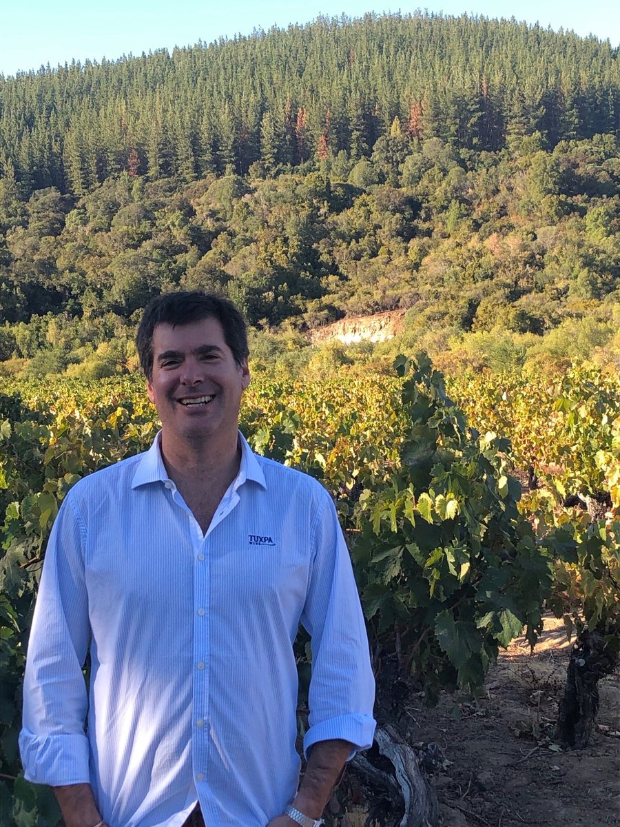 Grandcata's tweet photo. This Friday, September 6th our amigo Julio Bouchon will be taking over our #DailyCata, starting at 5:30pm showcasing his family estate wines from the Maule Valley in Chile.

Julio will be pouring (4) family estate wines including their amazing Pais Viejo!

See you this Friday! https://t.co/jiFgObPQkF