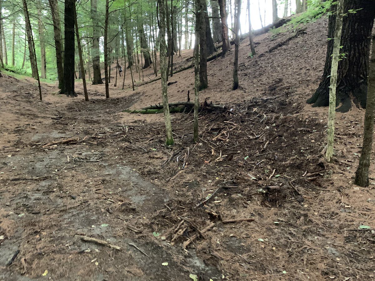 CatherineAPatch's tweet photo. Last year Missie and I spent our independent project time on organizing a #woods cleanup. Students had put sticks into piles &amp; this summer maintenance took those and some down logs away! #Success! #creativeteachingspaces #backtonature @RMSHanover #physed #pechat #BackToSchool2019 https://t.co/NzPQ7wEbA6