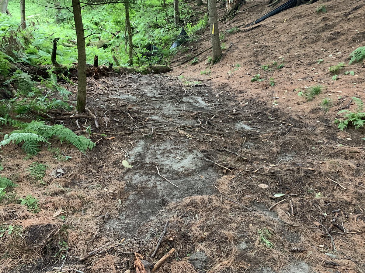 CatherineAPatch's tweet photo. Last year Missie and I spent our independent project time on organizing a #woods cleanup. Students had put sticks into piles &amp; this summer maintenance took those and some down logs away! #Success! #creativeteachingspaces #backtonature @RMSHanover #physed #pechat #BackToSchool2019 https://t.co/NzPQ7wEbA6