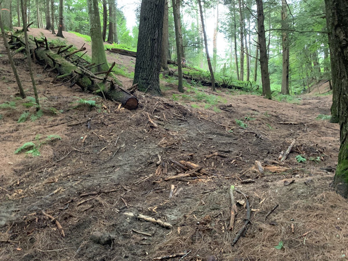CatherineAPatch's tweet photo. Last year Missie and I spent our independent project time on organizing a #woods cleanup. Students had put sticks into piles &amp; this summer maintenance took those and some down logs away! #Success! #creativeteachingspaces #backtonature @RMSHanover #physed #pechat #BackToSchool2019 https://t.co/NzPQ7wEbA6