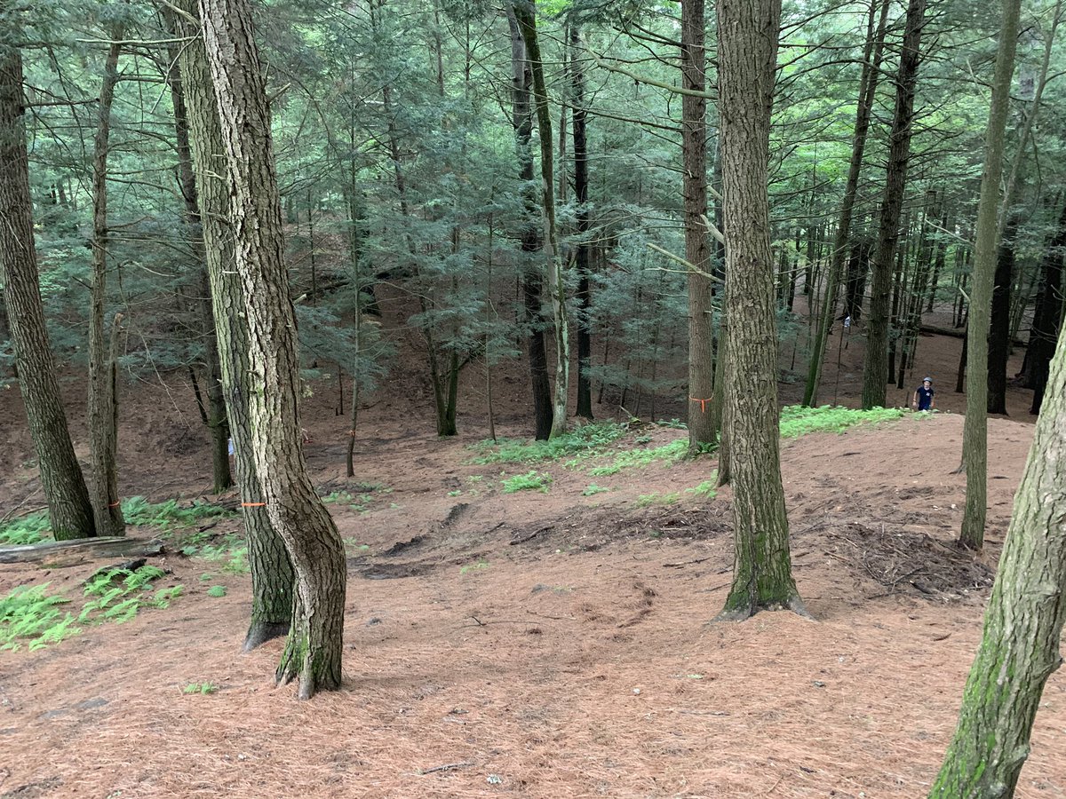 CatherineAPatch's tweet photo. Last year Missie and I spent our independent project time on organizing a #woods cleanup. Students had put sticks into piles &amp; this summer maintenance took those and some down logs away! #Success! #creativeteachingspaces #backtonature @RMSHanover #physed #pechat #BackToSchool2019 https://t.co/NzPQ7wEbA6