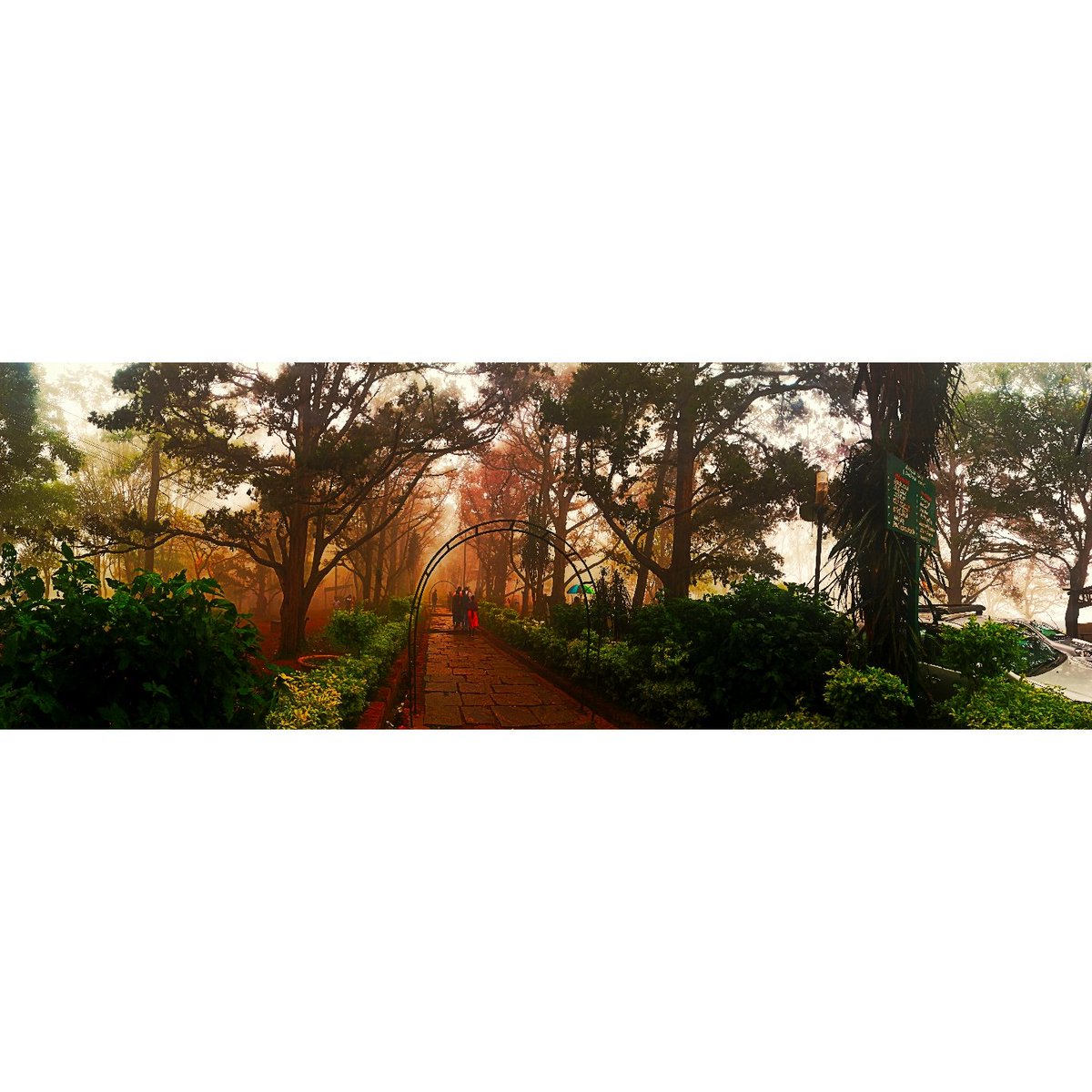 Lohith_4u's tweet photo. @NandiHills 
A Peaceful Ñature 
Cool Rainy and Beauty ! https://t.co/CzF32IIXG4