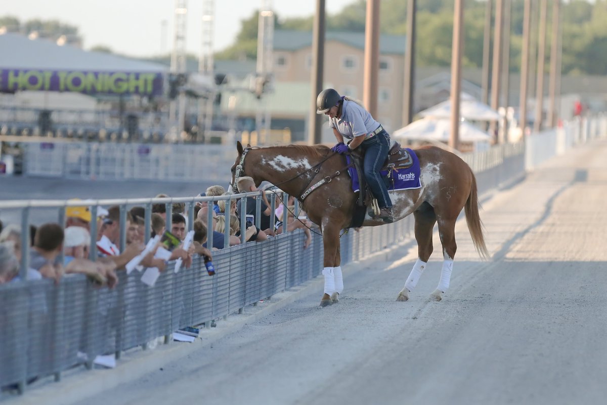 HoP_Racing's tweet photo. When you're on a merry-go-round, you miss a lot of the scenery.

#ThursdayThough #PlayHP https://t.co/Obzkh1ocuL