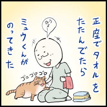 猫さまぁ!猫さまぁああ!!笑 