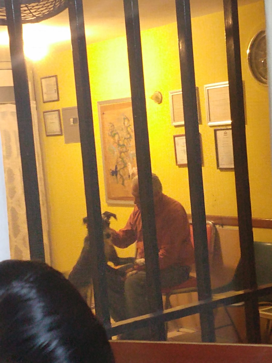 dehib_hez's tweet photo. -Mi papá: "yo no quiero perros en la casa"
-Mi papá cuando alguien lleva su perro a la casa: ... https://t.co/QEYdh4HKY6