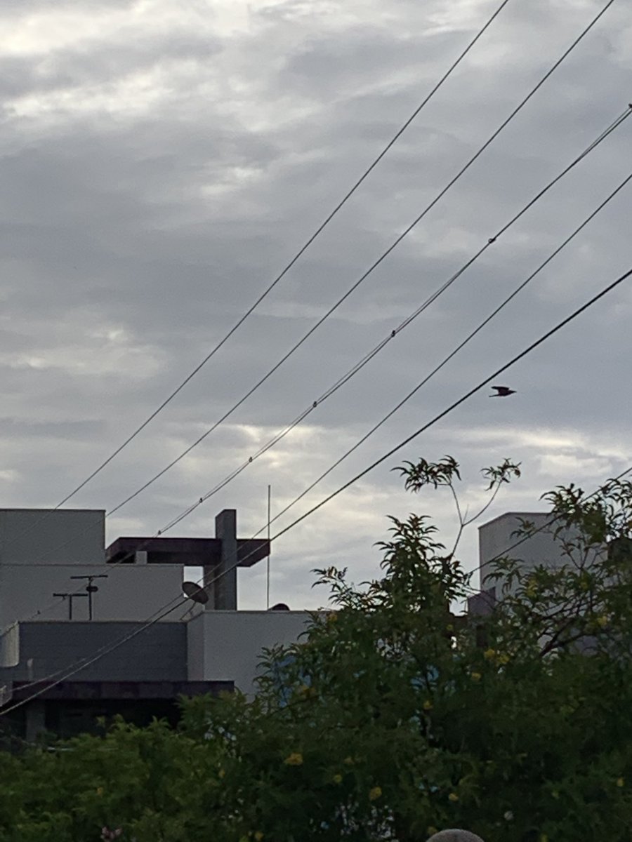 @thalapathydevR <a href="/SARFRAZ512/">Sarfraz29</a> <a href="/SligoJ/">John of Sligo</a> <a href="/BodhisattvaBill/">Bodhi_Bill</a> <a href="/Jay_Rombach/">Jay Rombach</a> <a href="/gastropod225061/">Allan Thompson</a> <a href="/GVRAMANARAO1/">gvrr🤝💞🦋🙏</a> <a href="/EarthandClouds/">Earth and Clouds</a> <a href="/PhotographyWx/">WX Photography</a> <a href="/HariG_IN/">Hari_Photography</a> <a href="/MyVirtualVaca/">MyVirtualVacations</a> <a href="/MURUGAN32597419/">அரிமா, க.முருகன் BE..,</a> <a href="/srini09100128/">srini</a> <a href="/Darren999222/">Sub-Zero</a> <a href="/RoarLoudTravel/">RoarLoud</a> <a href="/aSouthIndian/">Reddisaab रेड्डीसाब</a> <a href="/SammyStela/">Sammystela</a> <a href="/SashaEats/">Sasha</a> <a href="/jansylor/">Janice Sylor</a> <a href="/mustdotravels/">Must Do Travels</a> <a href="/seenusachin29/">Seenu</a> At 7 45 AM