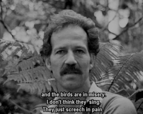 Happy birthday to everyone\s favourite Bavarian barrel of laughs. Werner Herzog, 77 today. 