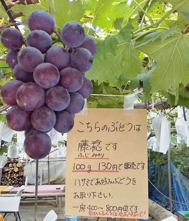 しろくま1124 on X: しろくま1124 on X: