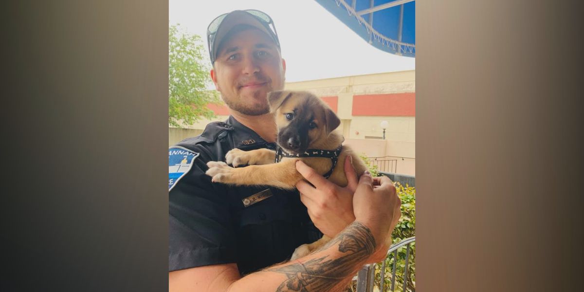 WTOC11's tweet image. Savannah Police rescue, fall in love with puppy abandoned during #HurricaneDorian bit.ly/2jYr4DO