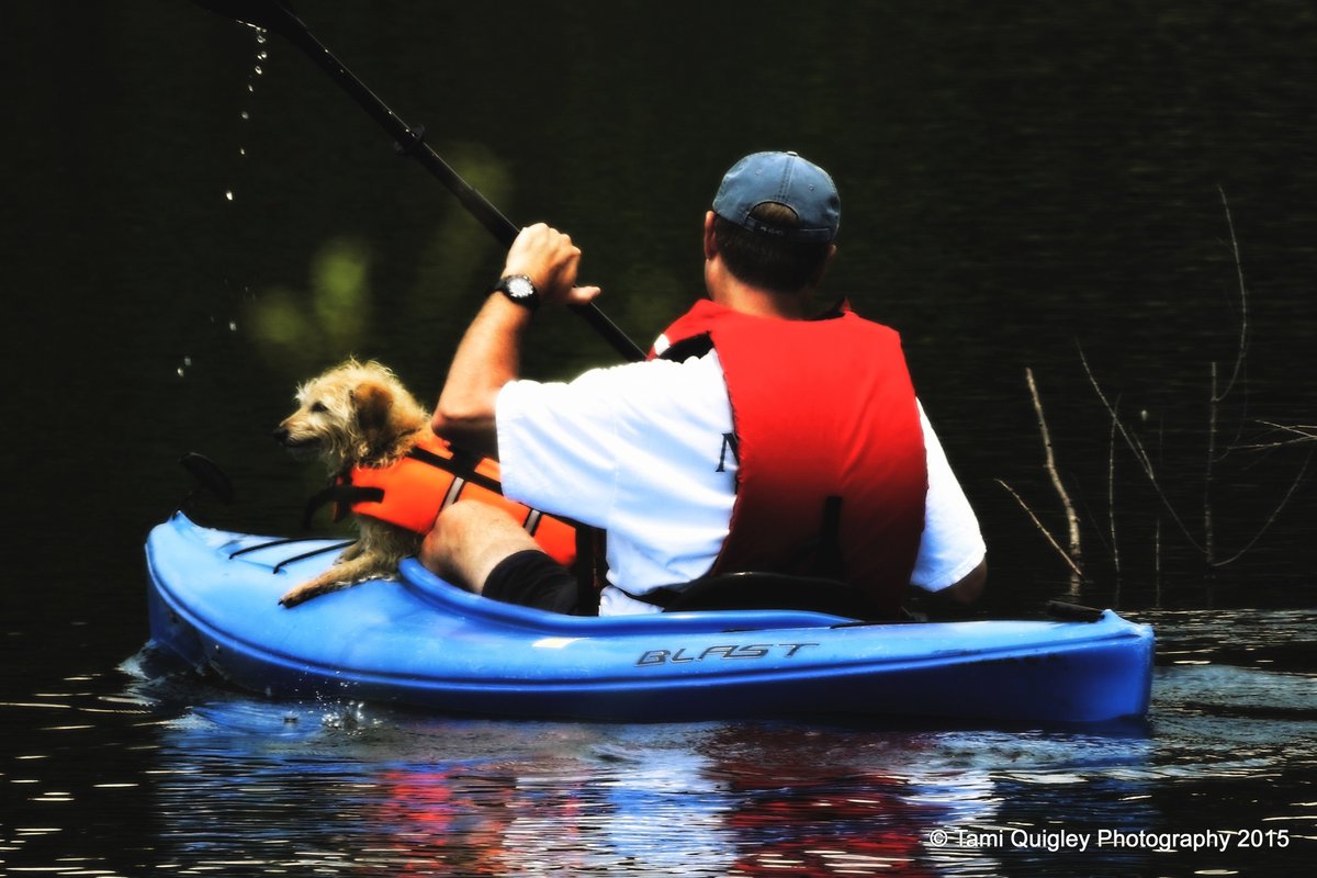 tamitrailscapes's tweet image. #ArtGallery tami-quigley.pixels.com #ArtisticThursday #art #ThePhotoHour #giftideas #onlineshop #FineArtPrints #ImageLicensing #CanvasPrints #MetalPrints #Decor #LehighValley #Lowcountry #SouthCarolina #NewJersey #NYC #nature #streetphotography #landscapes #wildlife #artprint