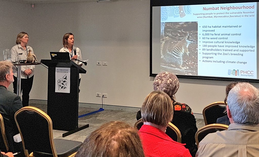 Great #SMARTgoals being outlined at #TSforumWA by @PeelHarveyCC working with @WAParksWildlife and others to improve #threatenedspecies #conservation outcomes for #numbats at Dryandra woodland.
#collaborationwins #scicomm