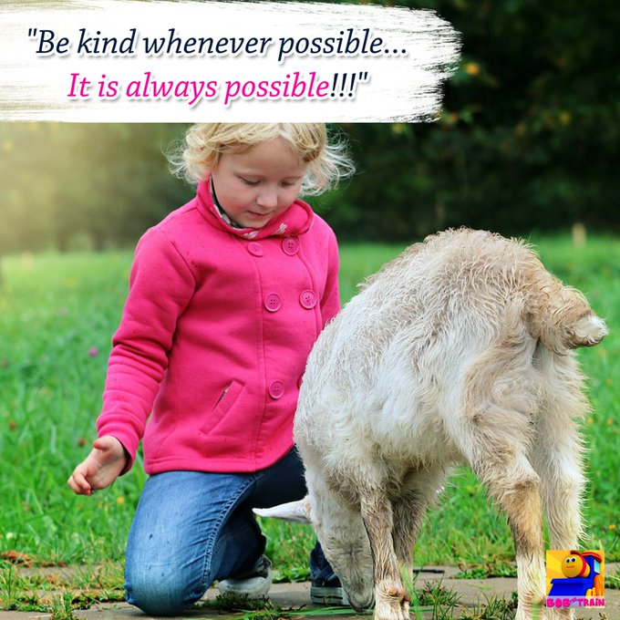 bobthetrain3's tweet photo. #BeKind whenever #possible... It is #always possible! https://t.co/Zp3UTxmzrV