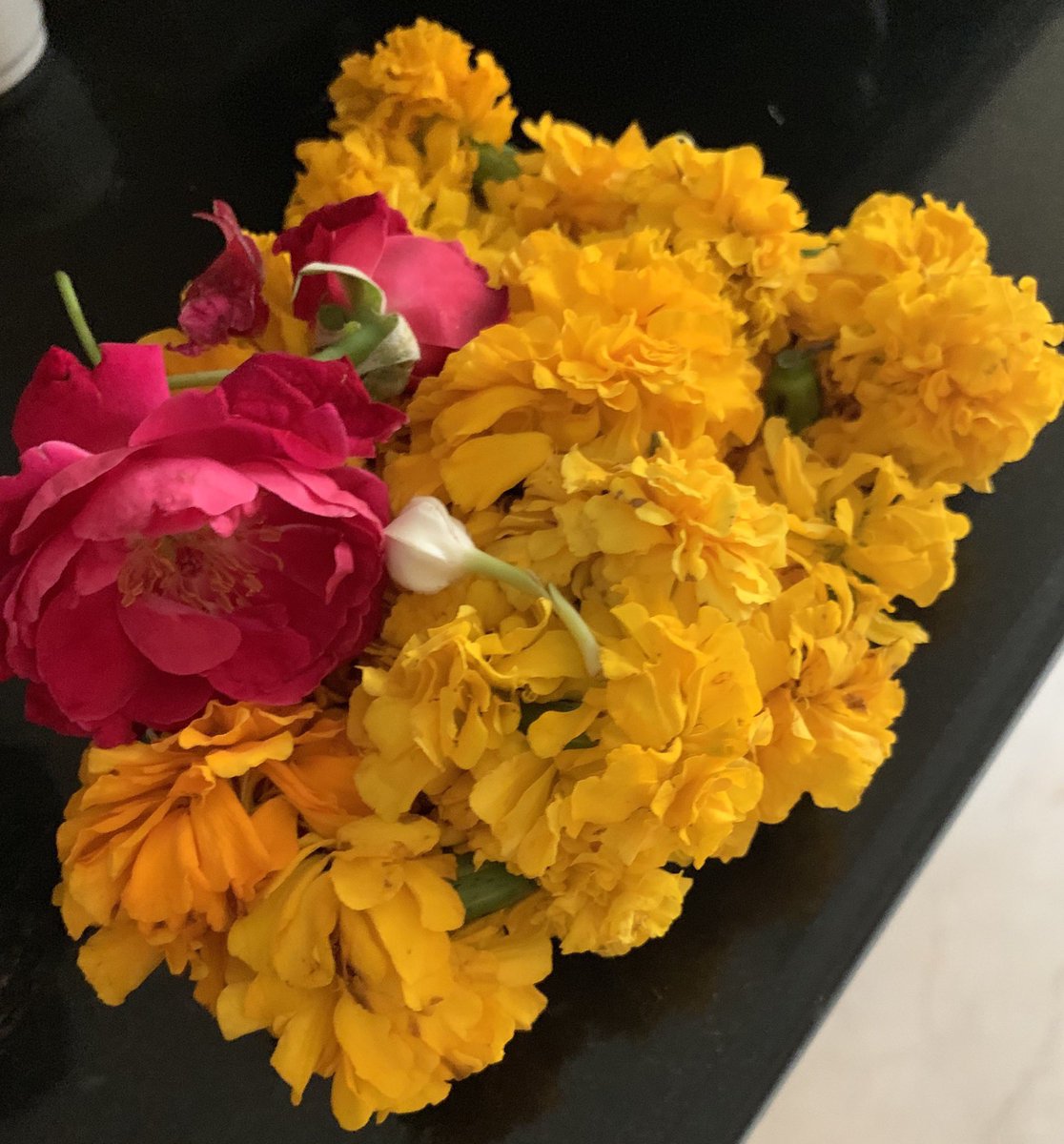 kavitaashok1969's tweet photo. Man delivering prayer flowers in the morning gave them in my hand 🤚 प्लास्टिक की थैली बंद कर दी जी -no more #plasticbags !#changingIndia #बदलताभारत congrats all #environmentactivists #NGO #citizens @narendramodi @PMOIndia @PlasticBan @BanPlastic2 @plasticband01 @PrakashJavdekar https://t.co/mrXdf8c8nW