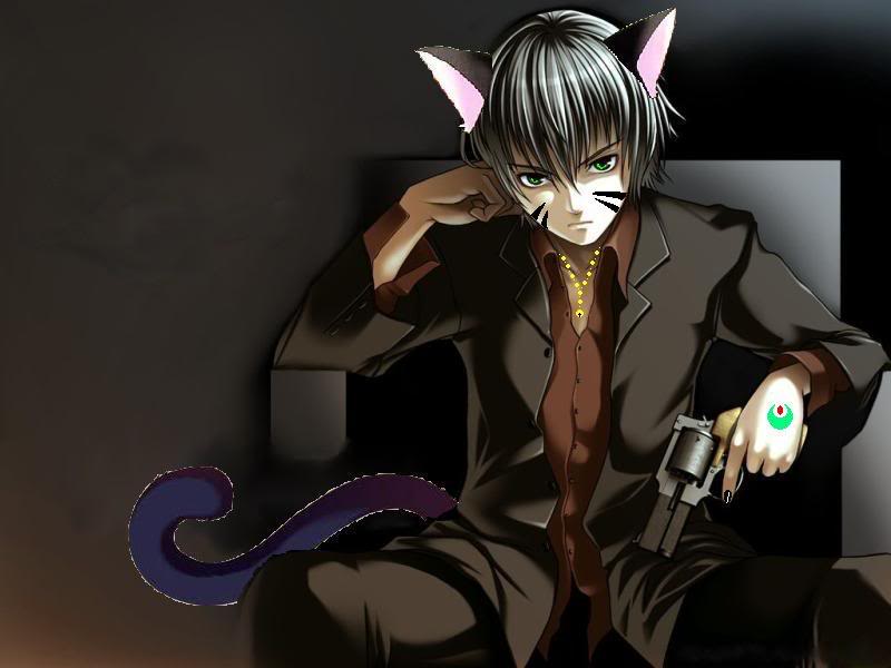 Anime Wallpaper Catboy - Bakaninime