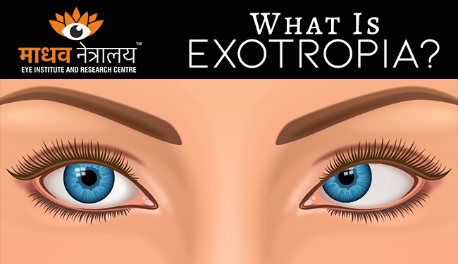 pdf принципиальные вопросы общей теории функциональных систем