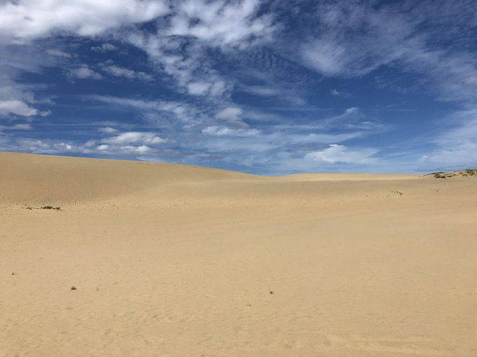 砂丘のtwitterイラスト検索結果