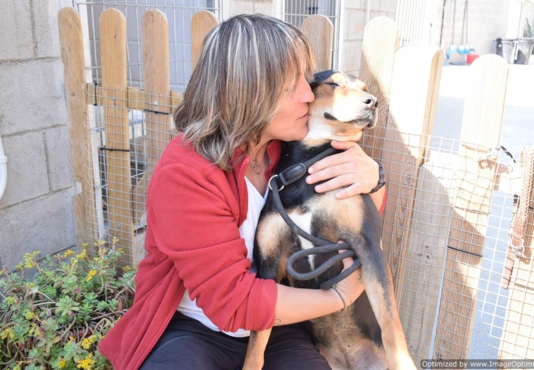 voluntacaad's tweet image. SOS! M'ha mossegat un company de gàbia i necessito sortir del Caad Penedès ja!!! 😭. Em dic INDIA i sóc un amor de gossa. Les voluntàries m'adoren!!  💓.
#XarxaBarcelonaAdopcions
#XarxaTarragonaAdopcions
#FemXarxa
#Penedès
#Garraf
#AdoptaNoCompres
#petlovers
#pets
#gossos
#Adopta