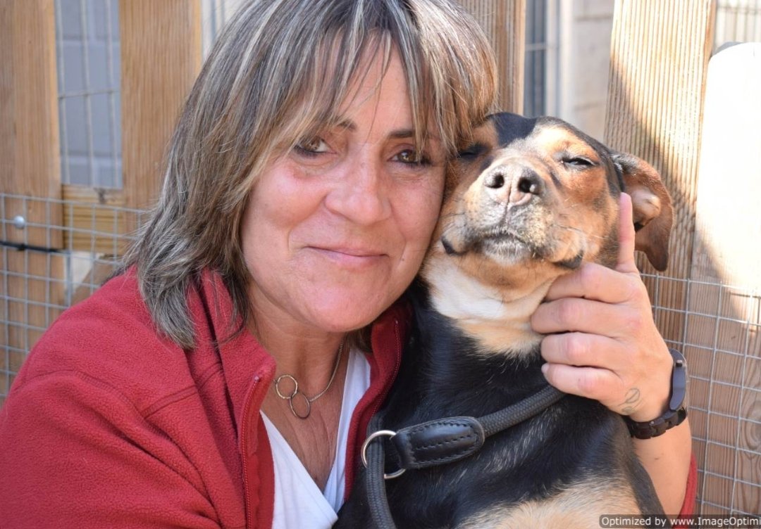 voluntacaad's tweet image. SOS! M'ha mossegat un company de gàbia i necessito sortir del Caad Penedès ja!!! 😭. Em dic INDIA i sóc un amor de gossa. Les voluntàries m'adoren!!  💓.
#XarxaBarcelonaAdopcions
#XarxaTarragonaAdopcions
#FemXarxa
#Penedès
#Garraf
#AdoptaNoCompres
#petlovers
#pets
#gossos
#Adopta