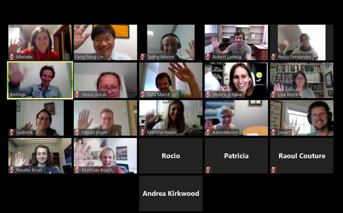 Two great days of GLEON20.5 (our global virtual meetings) behind us <a href="/GLEONetwork/">GLEON</a> . Presentations of GLEON science &amp; Working group time. One more day to go on 05 Sept (06th down under). Check gleon.org/meetings/gleon… for the program