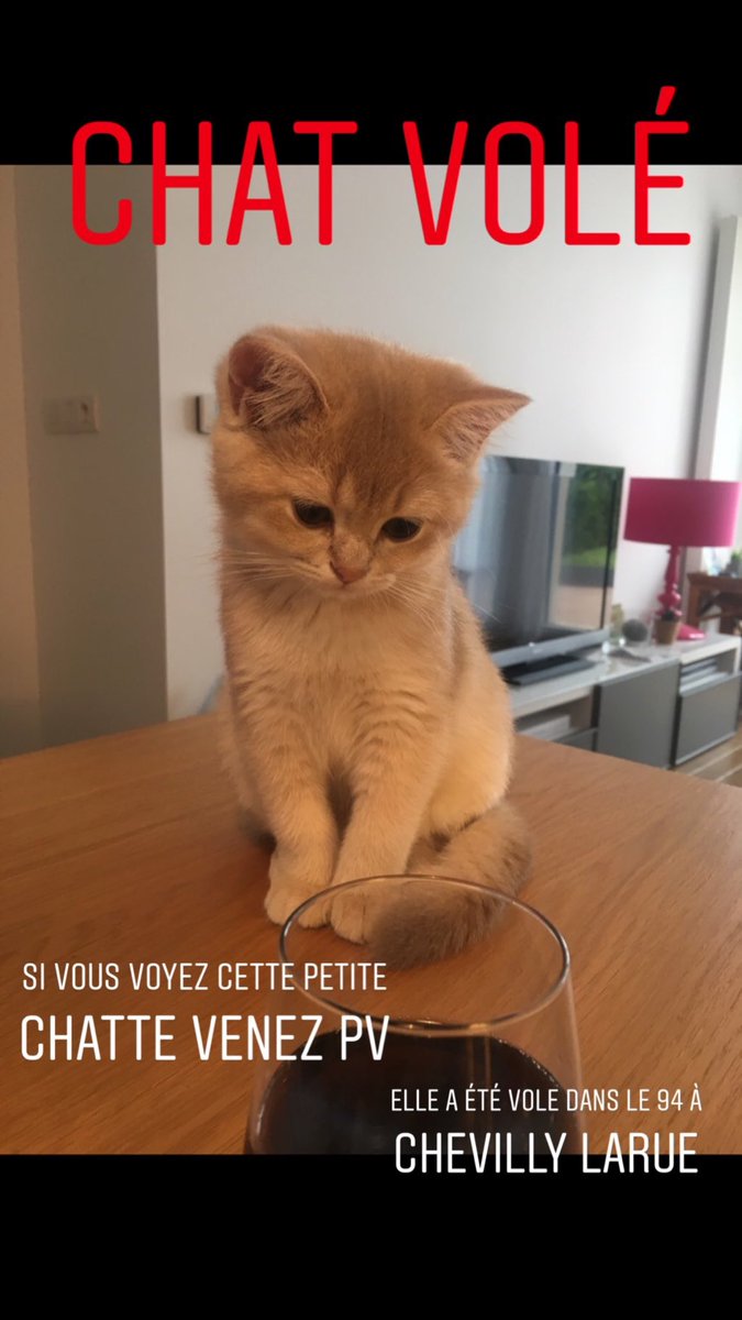 albouy_garance's tweet image. C’est vraiment important !
