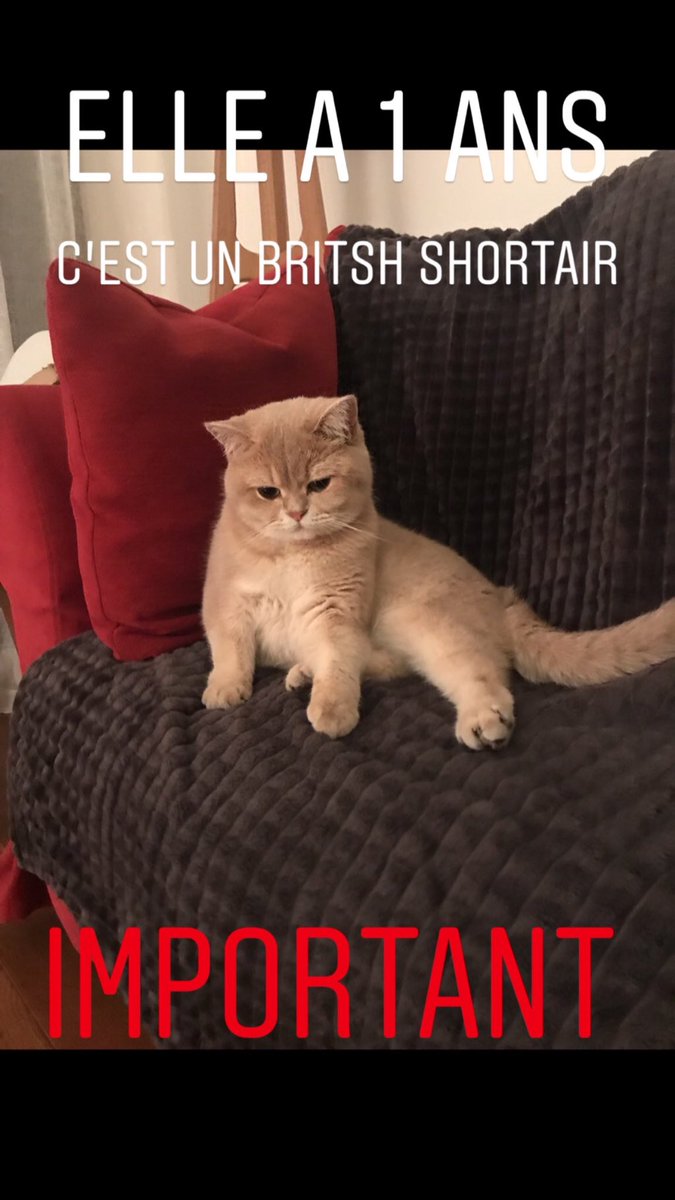 albouy_garance's tweet image. C’est vraiment important !