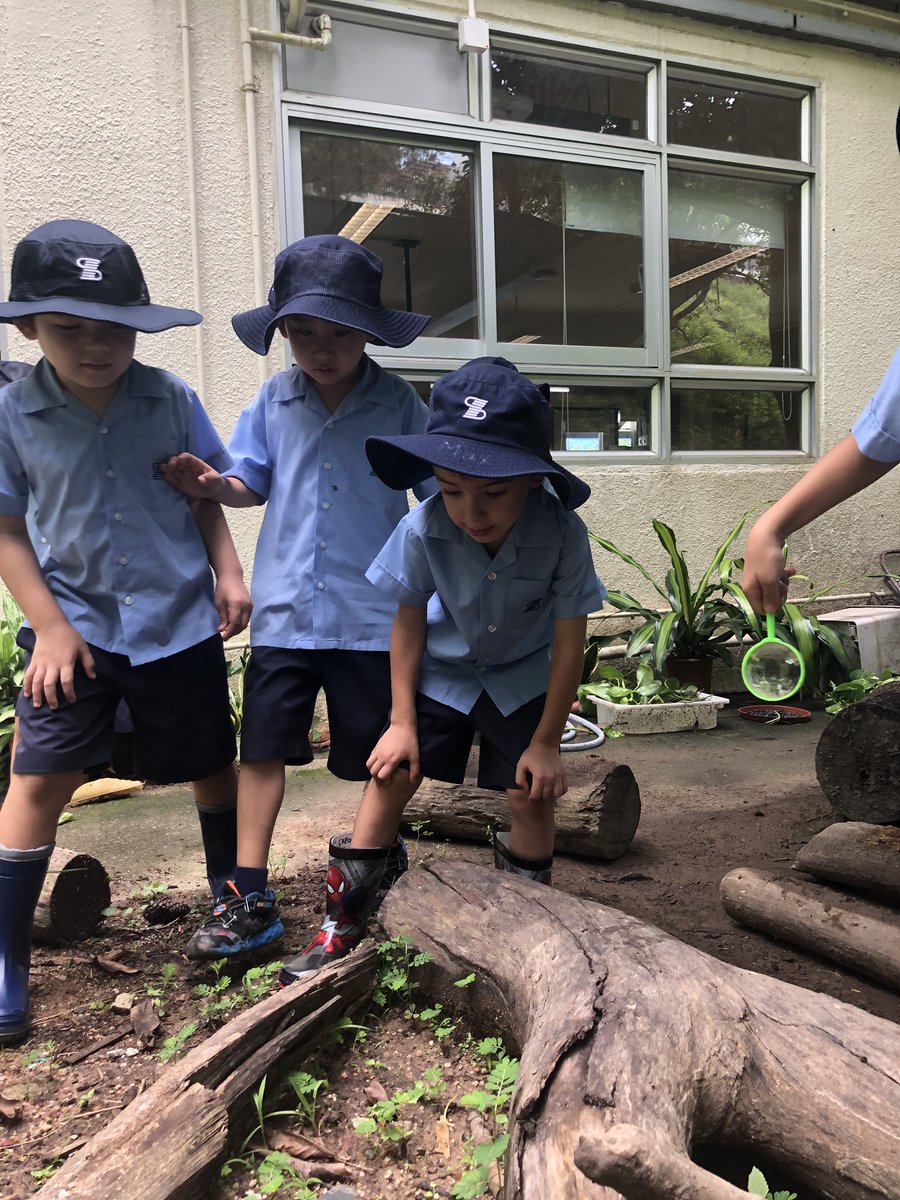 dbis_y1's tweet photo. EY1GC had a wonderful time exploring the forest this afternoon! We found many mini beasts and insects! https://t.co/bguazAoLAN
