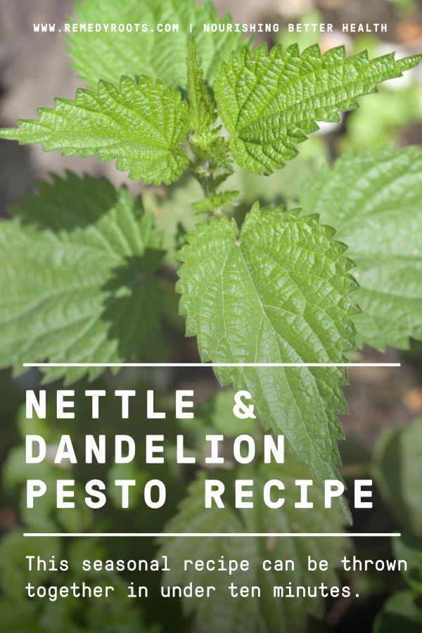 High in calcium, Iron and vitamin A. Contains antioxidants that help to neutralise free radicals. Dandelion &amp; Nettle Pesto Recipe lttr.ai/HaXS #Learnaboutingredients #Recipe #Makeyourown #RecipesHowto
